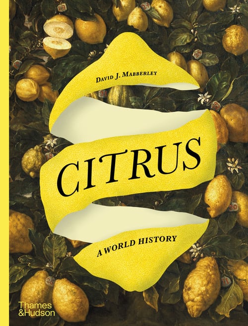 Cover for Citrus