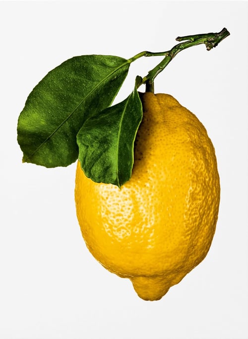 Cover for The Gourmand's Lemon