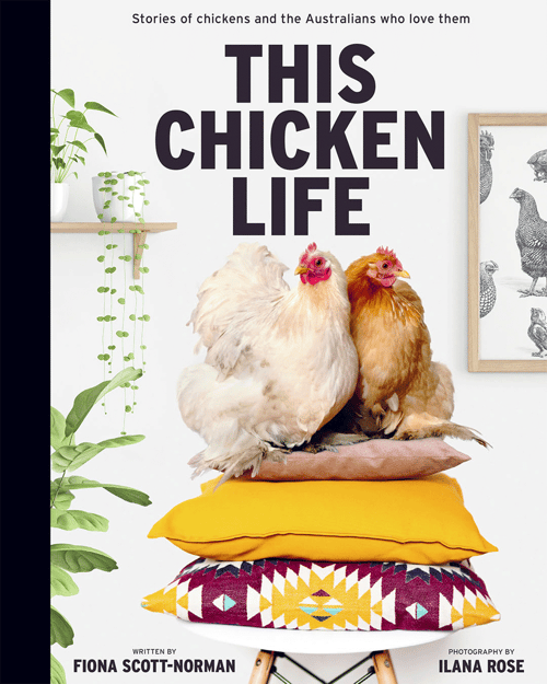 Cover for This Chicken Life