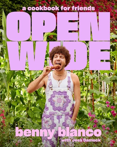 Cover for Open Wide