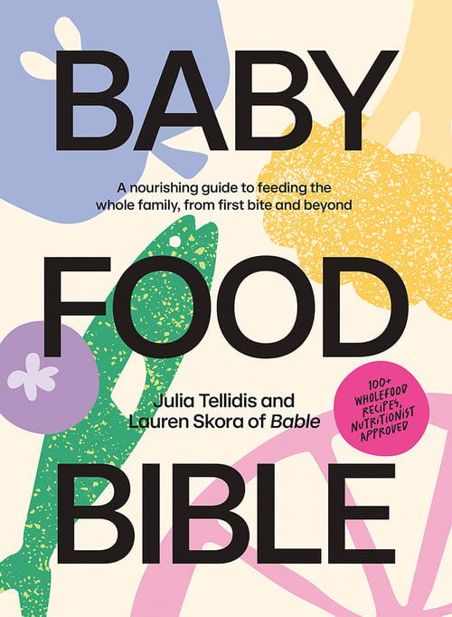 Cover for Baby Food Bible
