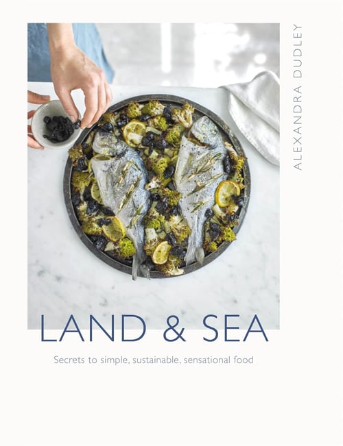 Cover for Land & Sea