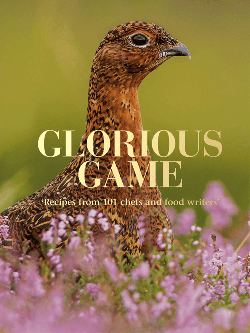 Cover for Glorious Game