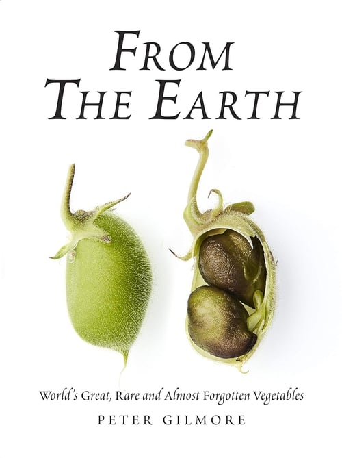 Cover for From the Earth