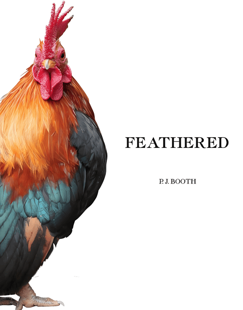 Cover for Feathered
