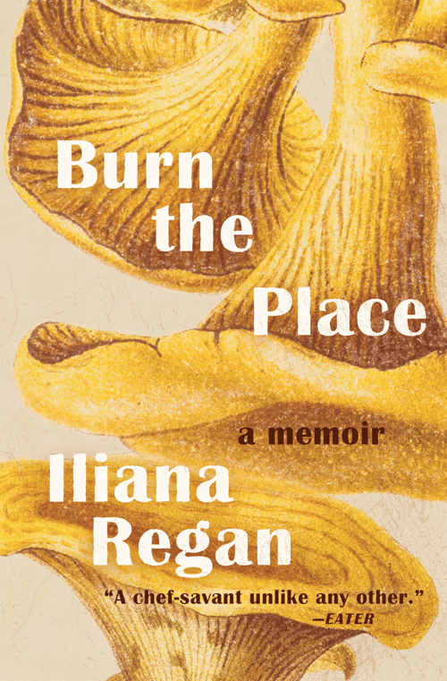 Cover for Burn the Place